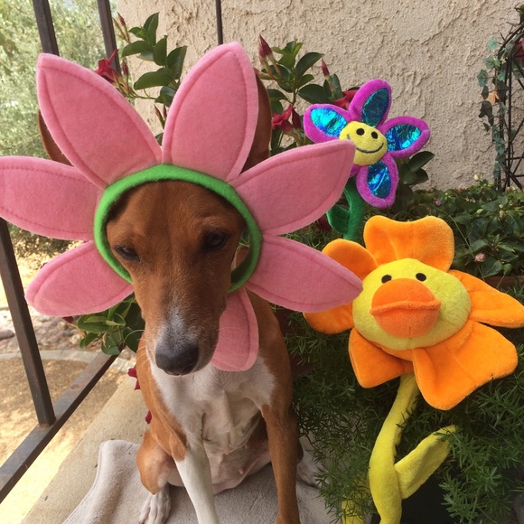 NO clowning around.... - Picture 16 of 16